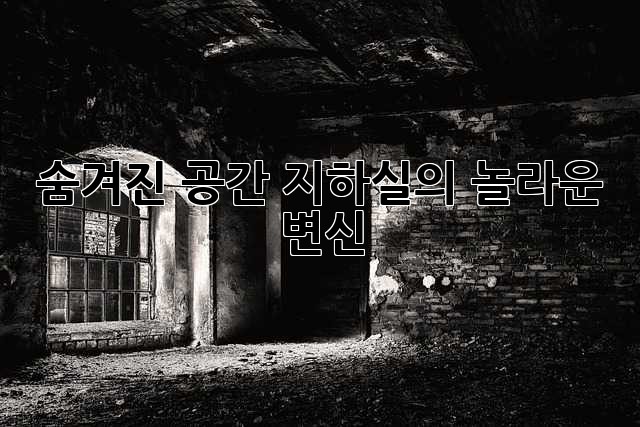 숨겨진 공간, 지하실의 놀라운 변신!
