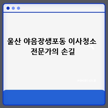 울산 야음장생포동 이사청소  전문가의 손길