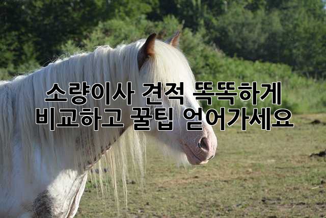 📦 소량이사 견적, 똑똑하게 비교하고 꿀팁 얻어가세요! 🍯