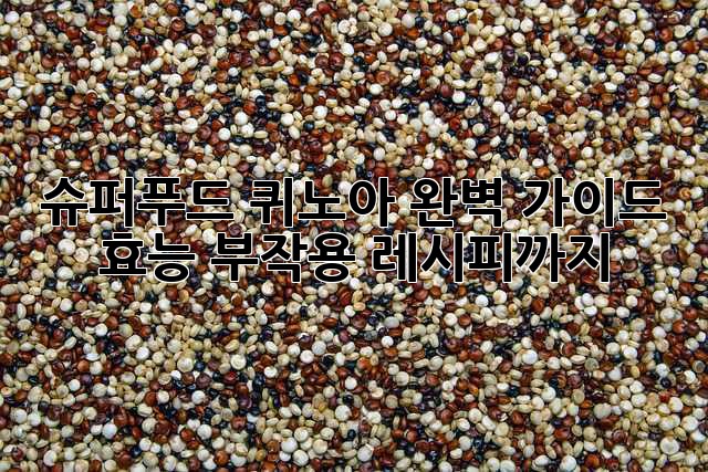 슈퍼푸드 퀴노아 완벽 가이드: 효능, 부작용, 레시피까지!