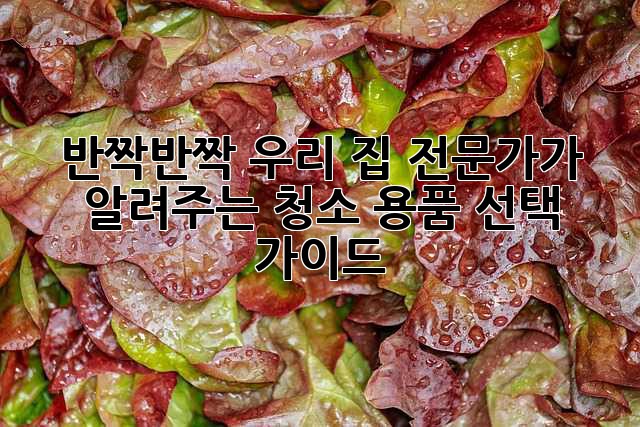 ✨ 반짝반짝 우리 집! 전문가가 알려주는 청소 용품 선택 가이드 🧹
