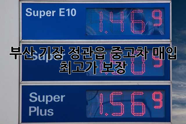 부산 기장 정관읍 중고차 매입 최고가 보장!