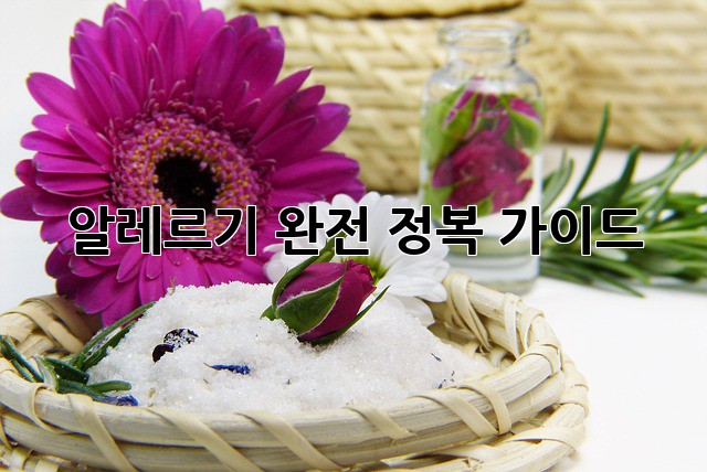 알레르기 완전 정복 가이드