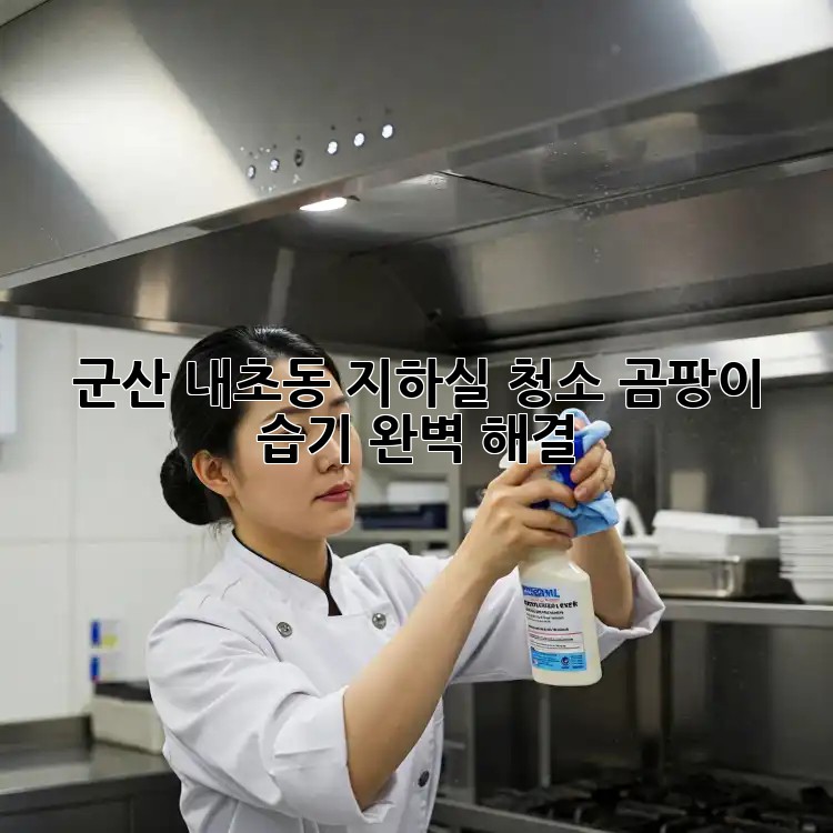 군산 내초동 지하실 청소🧹, 곰팡이 습기 완벽 해결!✨