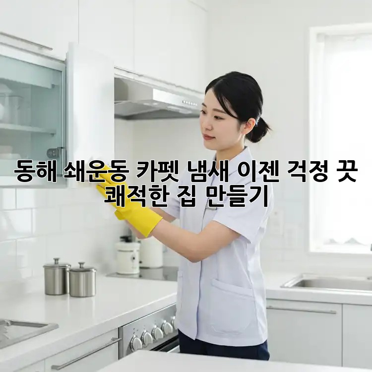 동해 쇄운동 카펫 냄새? 이젠 걱정 끗! 쾌적한 집 만들기